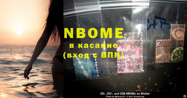 гашик Белокуриха