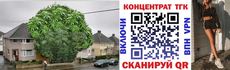 ТГК вейп  Купить закладки  Апатиты 