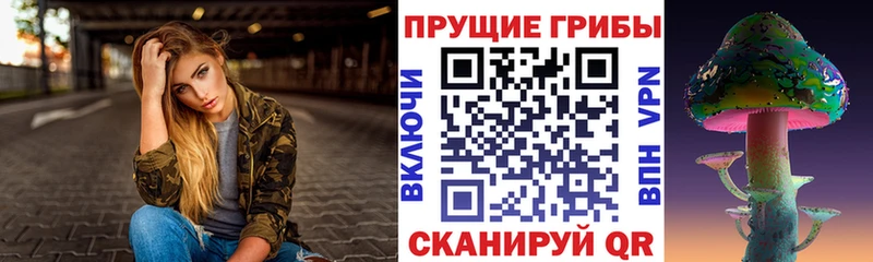 Псилоцибиновые грибы Psilocybe  Купить закладки  Апатиты 
