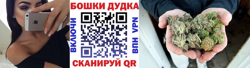 Купить закладки  Апатиты  Бошки Шишки OG Kush 